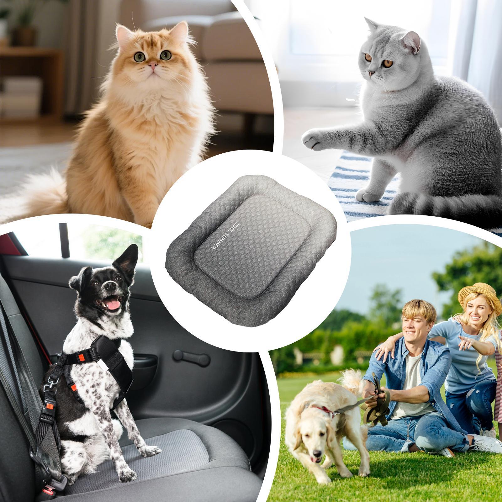 بساط تبريد للكلاب والقطط، محمو - مراجعة Outdoor Camping Dog Kennel وسعره